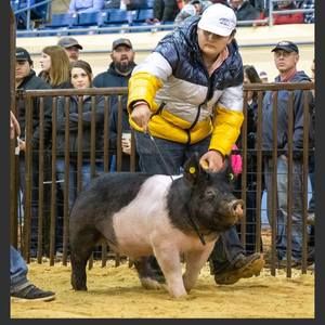 Meet your Posher, Jacob